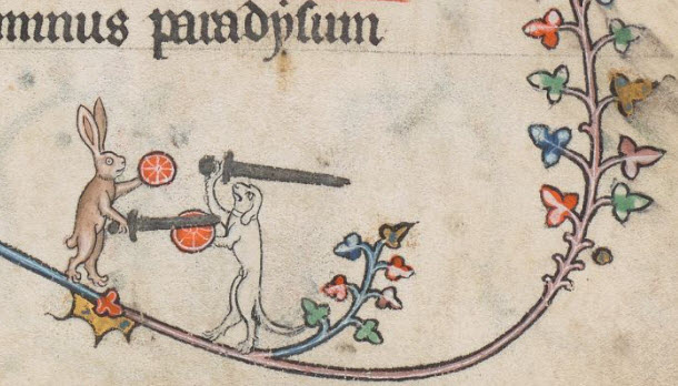 bunny and dog fighting with swords and shields