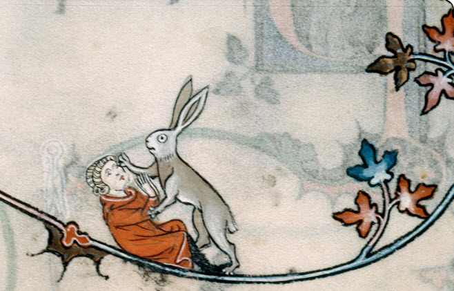 Bunny attacking tailor